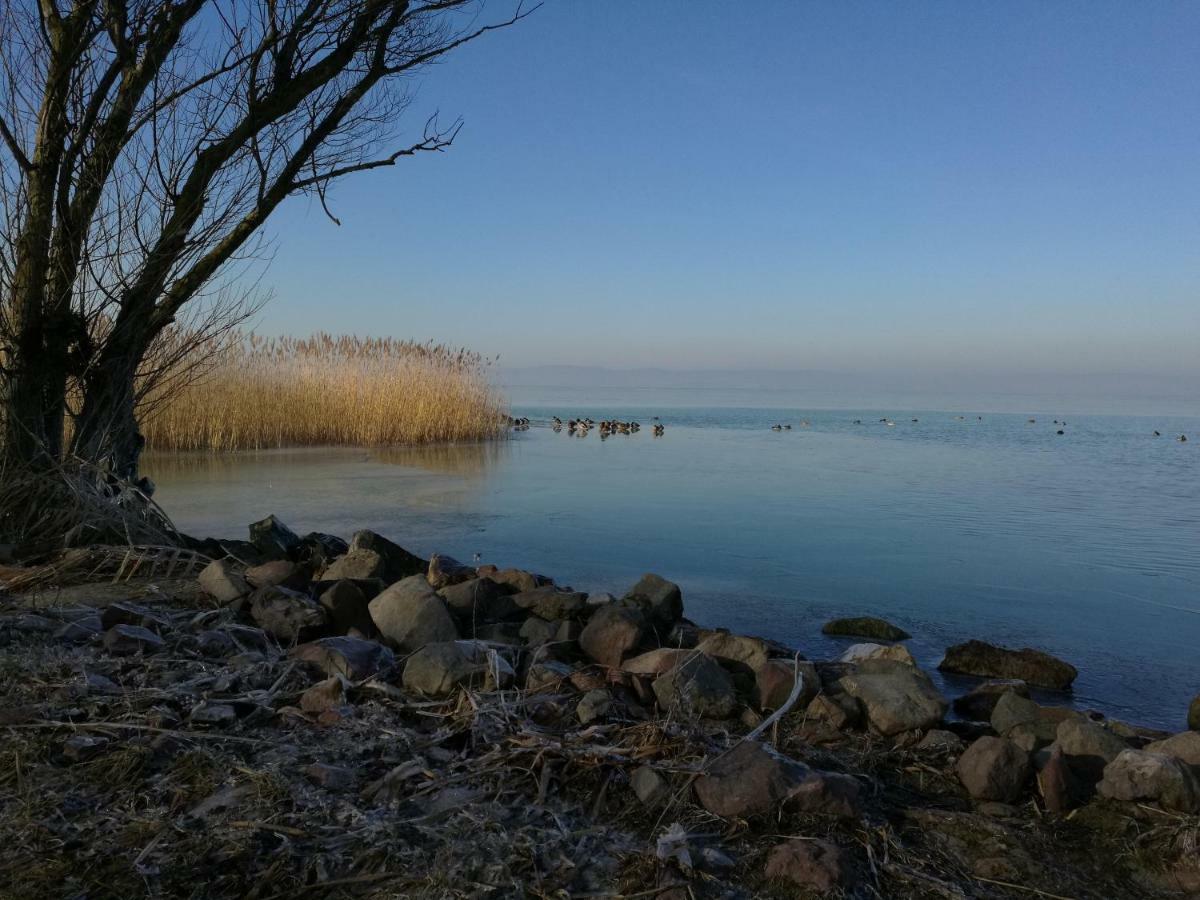 Viragos Apartman Balatonszárszó מראה חיצוני תמונה